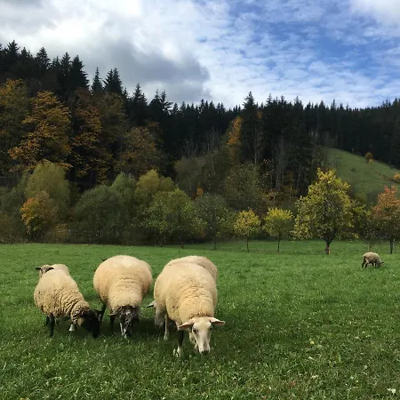 Pohoda Na Solani Velké Karlovice